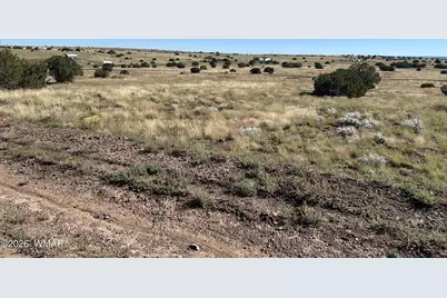 079A-079B Circle Drive, Concho, AZ 85924 - Photo 5