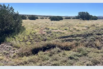 079A-079B Circle Drive, Concho, AZ 85924 - Photo 3