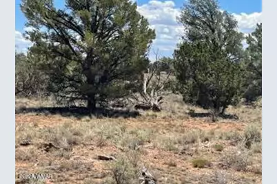 5785 N Muytala Lot D, Unit D #D, Williams, AZ 86046 - Photo 11