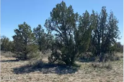 5785 N Muytala Lot D, Unit D #D, Williams, AZ 86046 - Photo 17