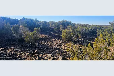 9383 Bald Eagle Road, Show Low, AZ 85901 - Photo 11