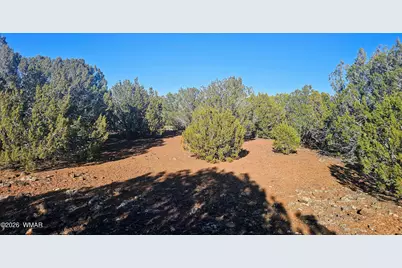 9383 Bald Eagle Road, Show Low, AZ 85901 - Photo 15