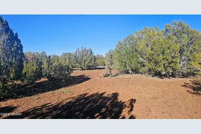 9383 Bald Eagle Road, Show Low, AZ 85901 - Photo 21