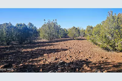 9383 Bald Eagle Road, Show Low, AZ 85901 - Photo 27