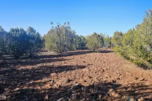 9383 Bald Eagle Rd, Show Low, AZ 85901 - Photo 27