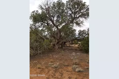 Tbd N5549, Concho, AZ 85924 - Photo 17