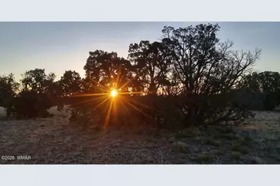 Tbd N5549, Concho, AZ 85924 - Photo 33