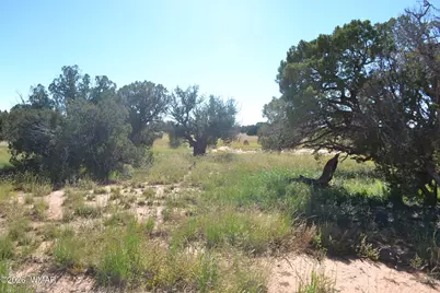 Tbd N5549, Concho, AZ 85924 - Photo 5