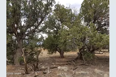 Tbd N5549, Concho, AZ 85924 - Photo 15