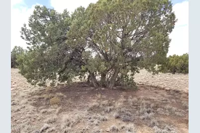 Tbd N5549, Concho, AZ 85924 - Photo 23