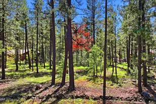 7029 Madison Ln Cir, Pinetop, AZ 85935 - Photo 1
