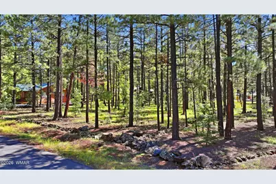 7029 Madison Lane Circle, Pinetop, AZ 85935 - Photo 9