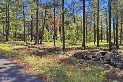 7029 Madison Lane Circle, Pinetop, AZ 85935 - Photo 7