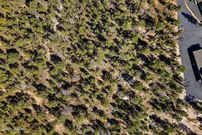 1948 Elk Road, Heber, AZ 85928 - Photo 11