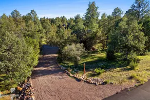 2861 Lodgepole Rd, Overgaard, AZ 85933 - Photo 31
