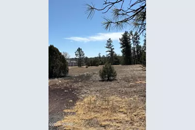 2881 E Show Low Lake Road, Show Low, AZ 85901 - Photo 23