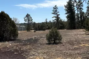 2881 E Show Low Lake Rd, Show Low, AZ 85901 - Photo 23