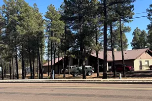 2881 E Show Low Lake Rd, Show Low, AZ 85901 - Photo 35