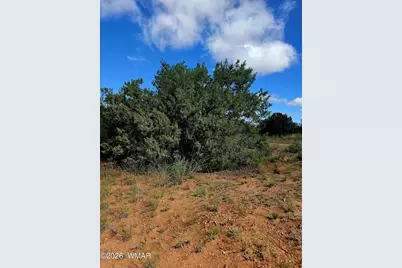 4428 Colt Road, Snowflake, AZ 85937 - Photo 7