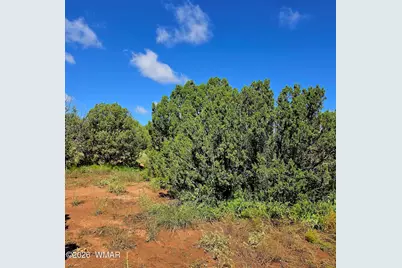 4428 Colt Road, Snowflake, AZ 85937 - Photo 9