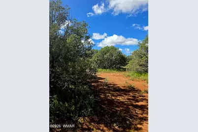 4428 Colt Road, Snowflake, AZ 85937 - Photo 11