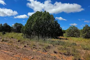 4428 Colt Rd, Snowflake, AZ 85937 - Photo 1