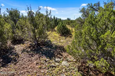 1870 Rainbow Circle, Show Low, AZ 85901 - Photo 15