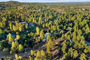 841 Navajo Trail, Show Low, AZ 85901 - Photo 33
