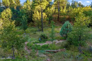 841 Navajo Trail, Show Low, AZ 85901 - Photo 29