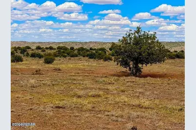 85 Co Road 8500 40 Acres, Concho, AZ 85924 - Photo 3
