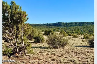 85 Co Road 8500 40 Acres, Concho, AZ 85924 - Photo 1