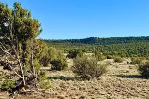 85 Co Road 8500 40 Acres, Concho, AZ 85924 - Photo 1