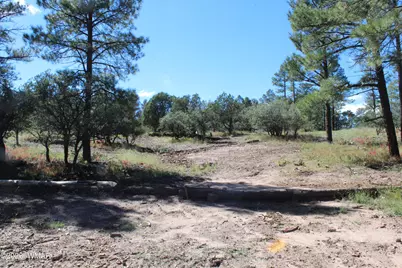 004T Elk Trail, Show Low, AZ 85901 - Photo 13