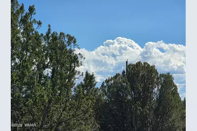 1 8063 Road, Vernon, AZ 85940 - Photo 13