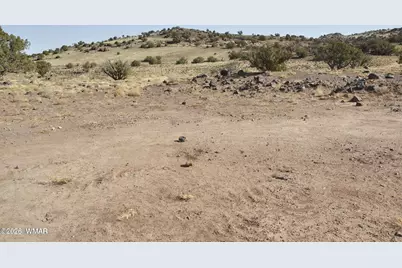 Lot 36 N8441, Concho, AZ 85924 - Photo 13
