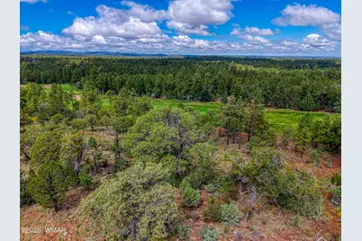3440 W Sage Lane, Show Low, AZ 85901 - Photo 9
