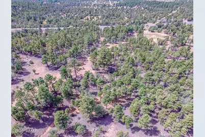 Tbd N 43rd Avenue, Show Low, AZ 85901 - Photo 9