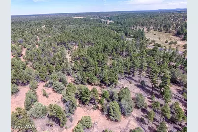 Tbd N 43rd Avenue, Show Low, AZ 85901 - Photo 7