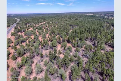 Tbd N 43rd Avenue, Show Low, AZ 85901 - Photo 5