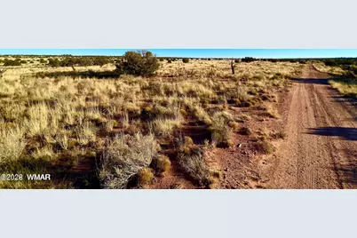 9747 Willis Hill Trl 40 Acres, Snowflake, AZ 85937 - Photo 11