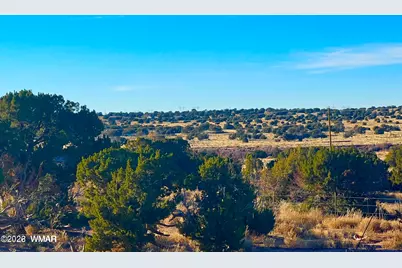 9747 Willis Hill Trl 40 Acres, Snowflake, AZ 85937 - Photo 1
