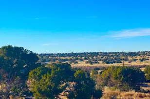 9747 Willis Hill Trl 40 Acres, Snowflake, AZ 85937 - Photo 1