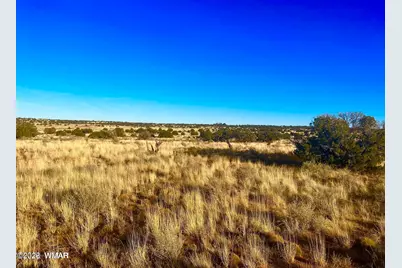 9747 Willis Hill Trl 40 Acres, Snowflake, AZ 85937 - Photo 7