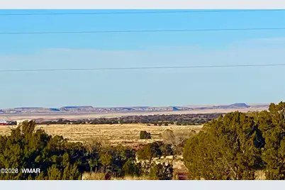 9747 Willis Hill Trl 40 Acres, Snowflake, AZ 85937 - Photo 9