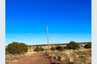 9747 Willis Hill Trl 40 Acres, Snowflake, AZ 85937 - Photo 13