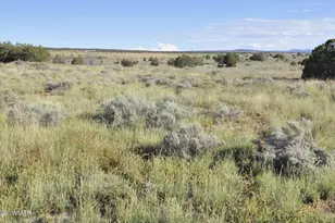 68 N9016, Concho, AZ 85924 - Photo 19