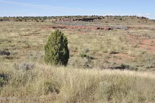 68 N9016, Concho, AZ 85924 - Photo 21