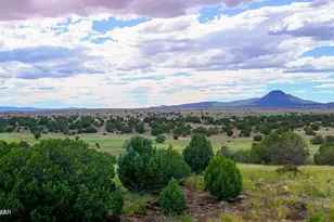 Tbd Rocky Hill Rd Lot C 10 Acres, Ash Fork, AZ 86320 - Photo 1