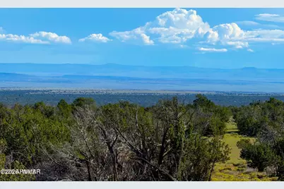 Tbd Co Rd N7480 40 Acres, Saint Johns, AZ 85936 - Photo 7