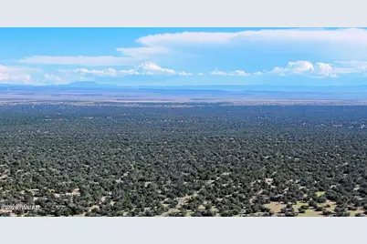 Tbd Co Rd N7480 40 Acres, Saint Johns, AZ 85936 - Photo 17